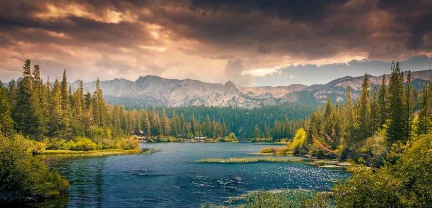 Forest, Lake and Mountains